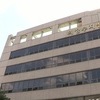 입양동물 11마리 죽인 20대 집유 선고에 검찰 