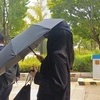 '장원영 비방 가짜영상 제작' 유튜버 징역 2년에 집유 3년