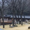 경찰, 허경영 '성추행 피소' 관련 하늘궁 압수수색