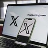 머스크 엑스 