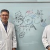 KAIST·화학연 연구팀, 면역항암제 안 듣는 난치성 뇌종양 치료 가능성 열었다