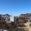 '교사 해임 철회' 요구하며 서울교육청서 시위한 22명 연행