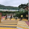 군포서 등교하던 초등생 9명 벌에 쏘여…생명 지장 없어