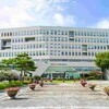 '셀프 채용' 무효 처분 교사, 면직 직후 같은 학교 기간제로 복귀